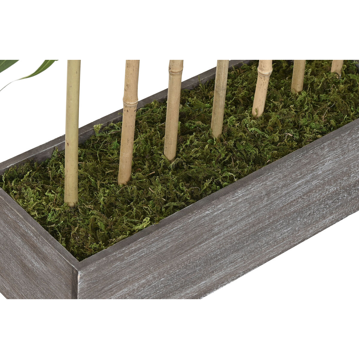 V2HE1E906FEB9C0809CE4180B2D805CA7F7R7521818P4