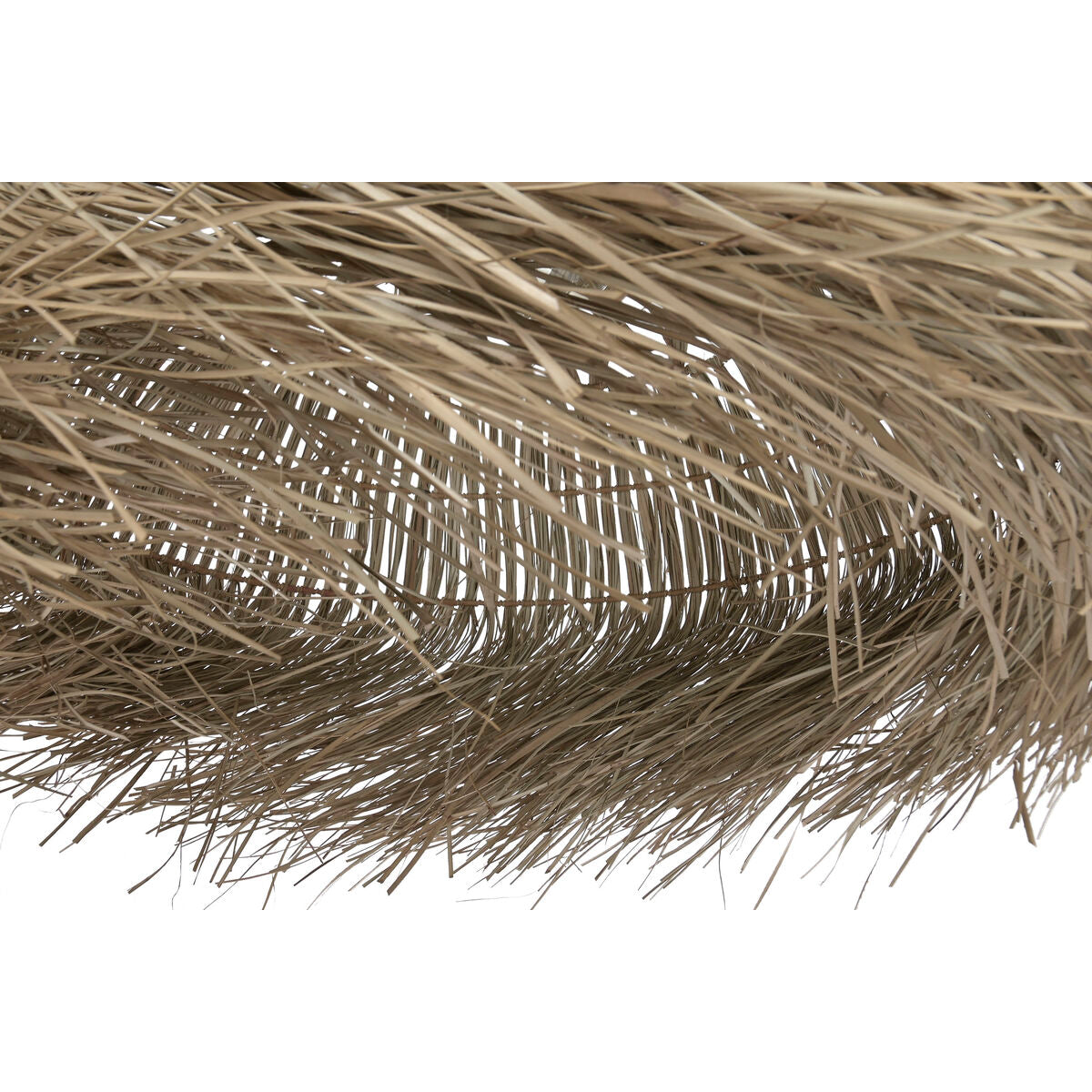 V2H54D44B535504F115897571FCF4AA3925R7472223P6