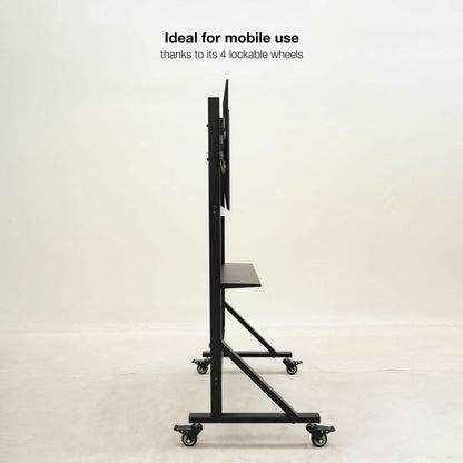 V1H796CB590E299F271658A20C512E020A7RP9