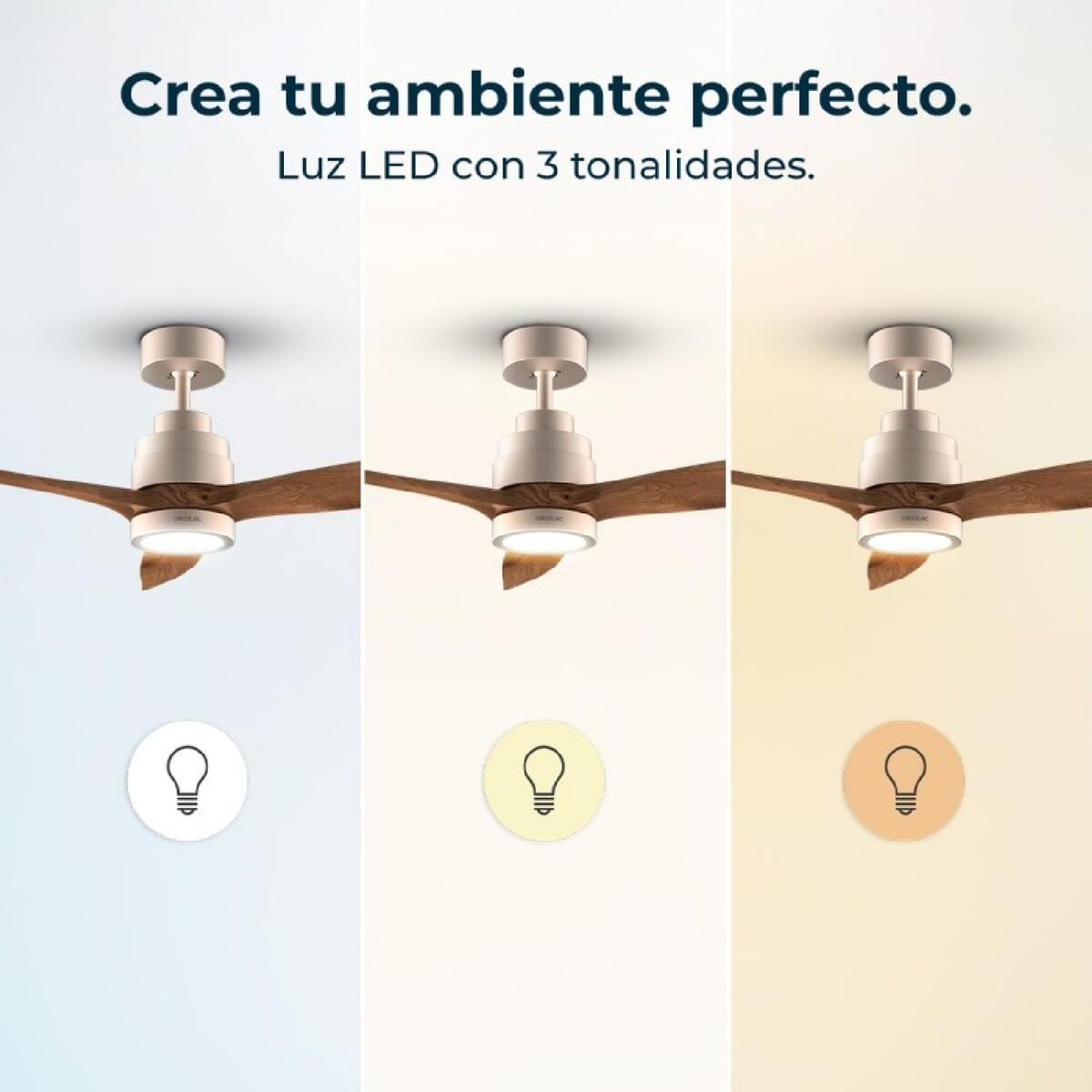 V3H4B724A149386C499FF8CF5203D0089E7R7345291P4