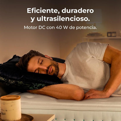 V4HF2110623A099B25282DFE34412E5C383R5176110P2