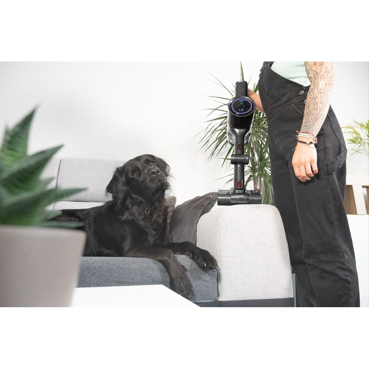 V6H36A8722544F389425B6037B3BC2D3B93R6413095P9