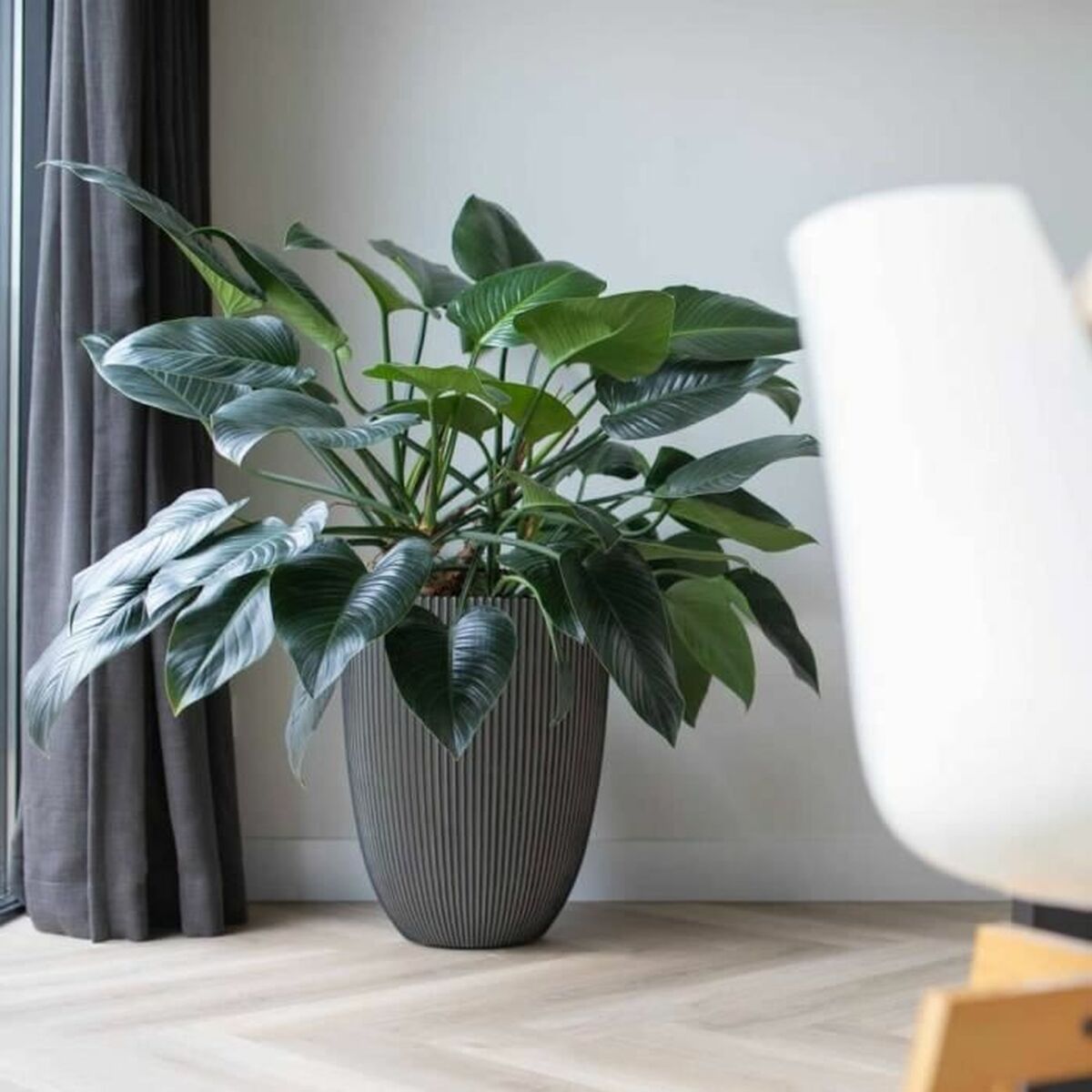 V5H4A64F1F80F8314374B8949CECF452ECFR5081460P3