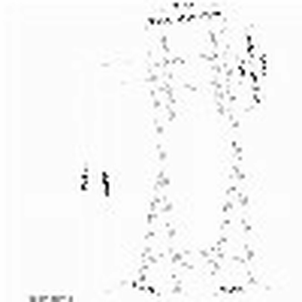 V3H2F37AB43DE8FB41F727D690C9CAFCF4FR5677975P8