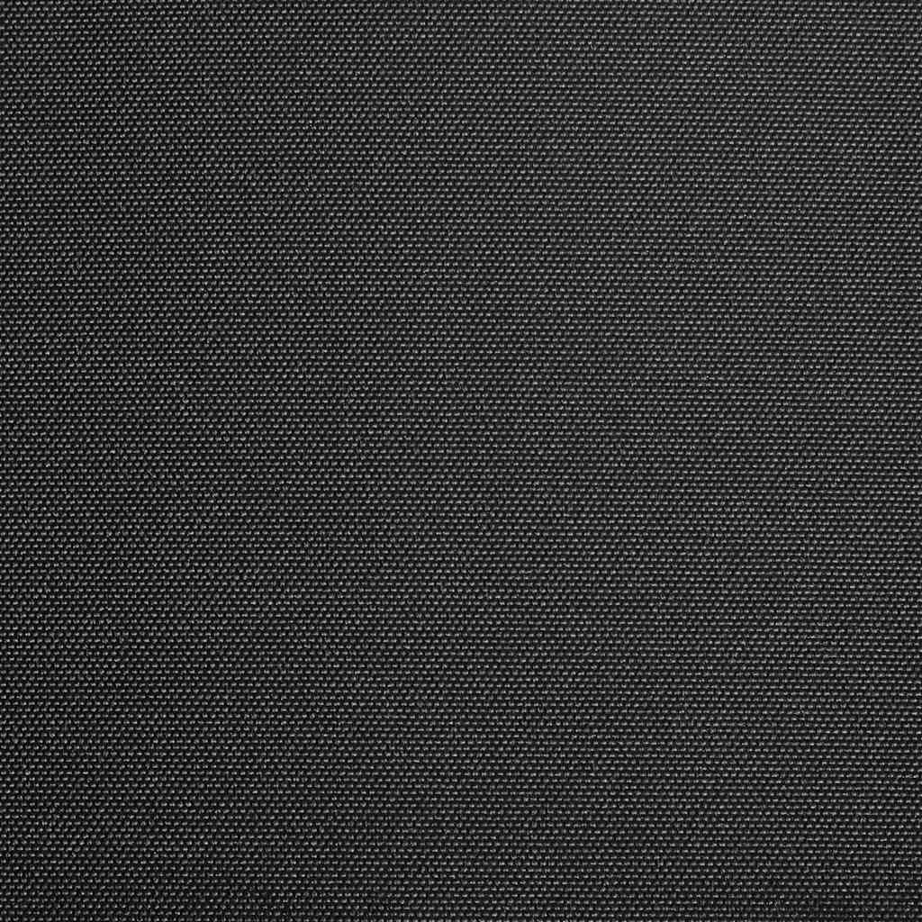 Markisenbespannung Canvas Anthrazit 450x300 cm