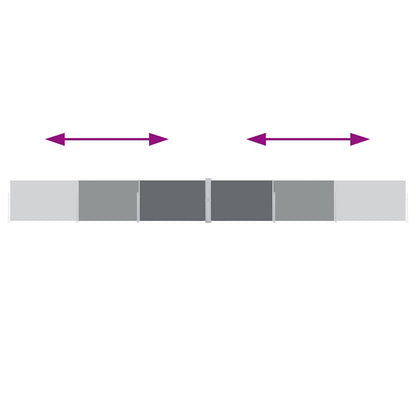 Ausziehbare Seitenmarkise Anthrazit 140 x 1000 cm