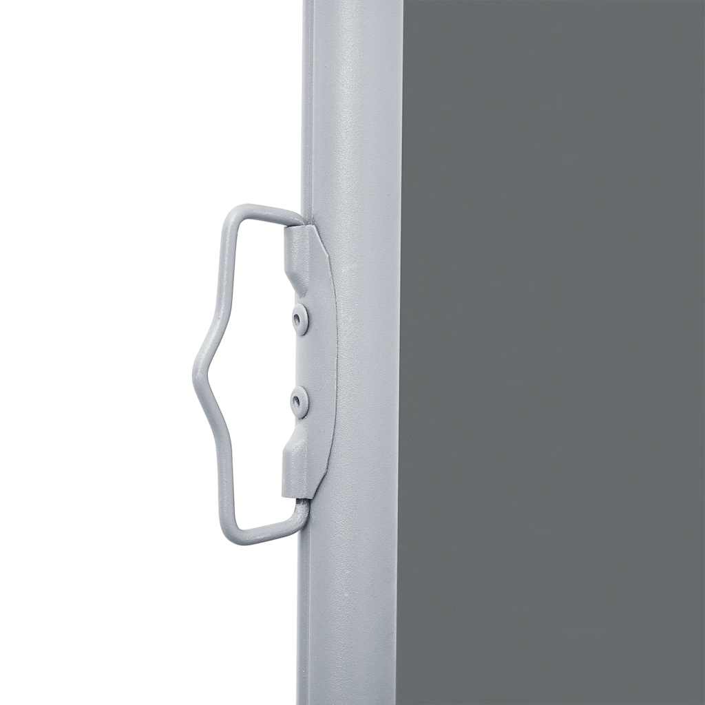 Ausziehbare Seitenmarkise Anthrazit 140 x 1000 cm