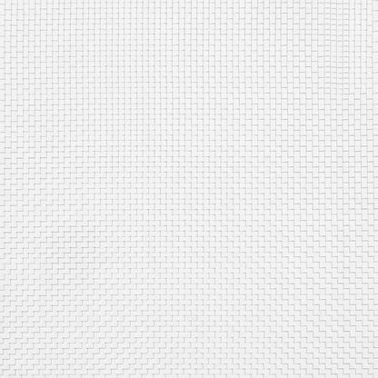 Fliegengitter Edelstahl 80x1000 cm Silbern