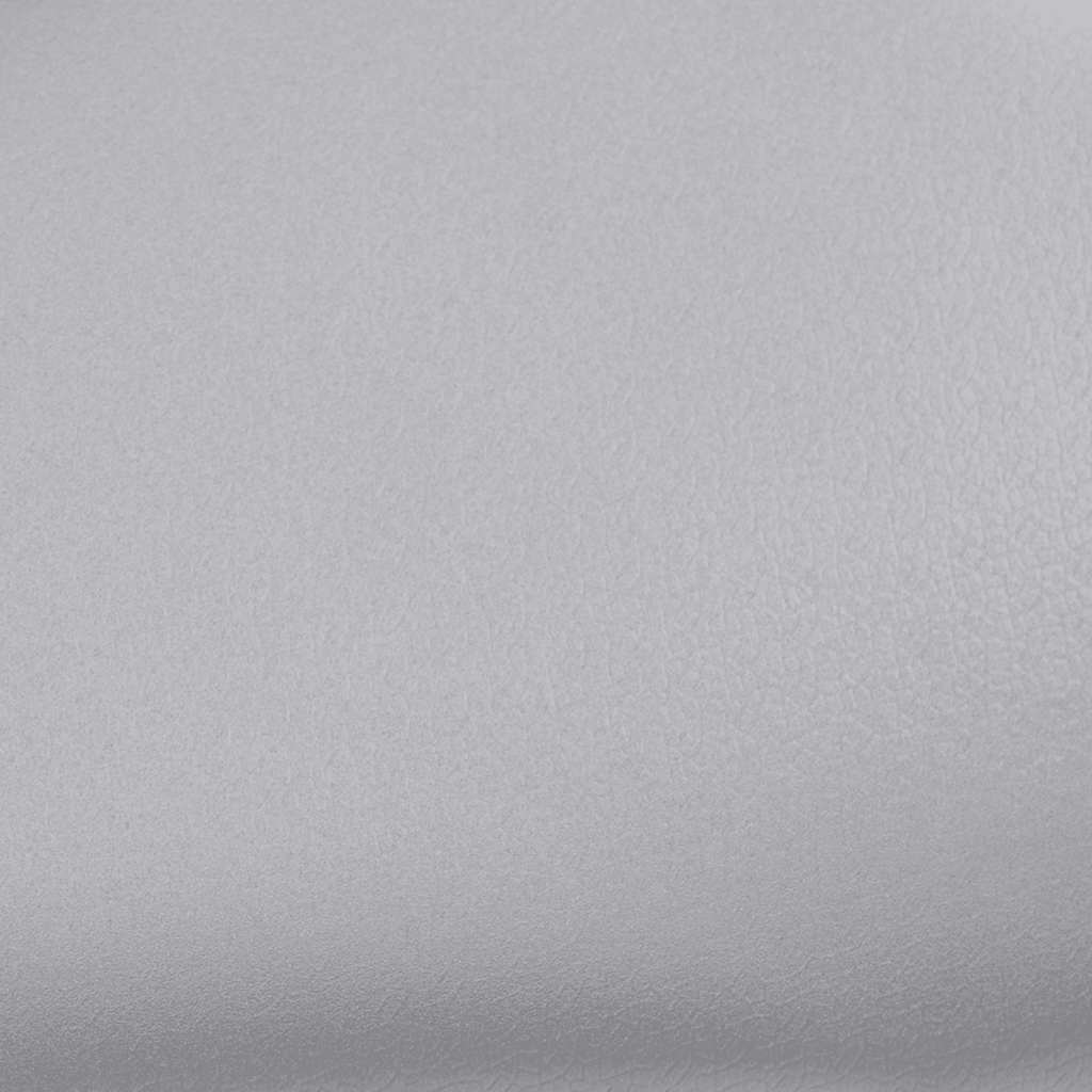 Autofolien 2 Stk. Matt-Silber 100x150 cm+50x150 cm