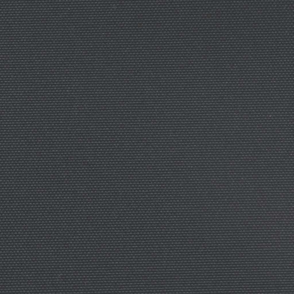 Seitenmarkise Ausziehbar Schwarz 100x600 cm