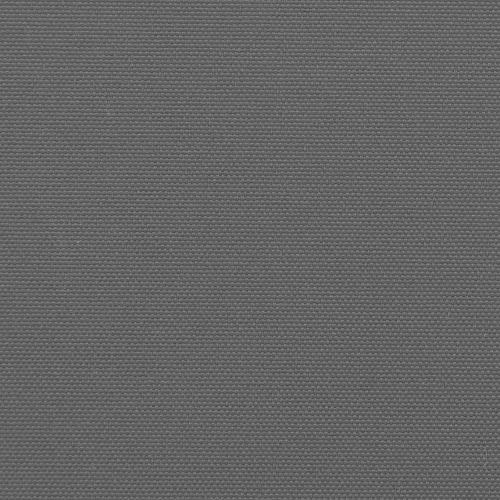 Seitenmarkise Ausziehbar Anthrazit 100x1000 cm