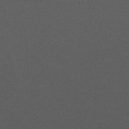 Seitenmarkise Ausziehbar Anthrazit 100x1000 cm