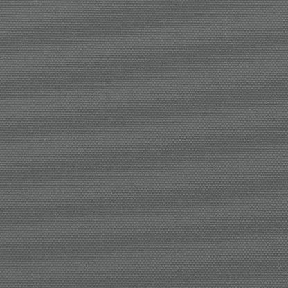 Seitenmarkise Ausziehbar Anthrazit 140x1000 cm