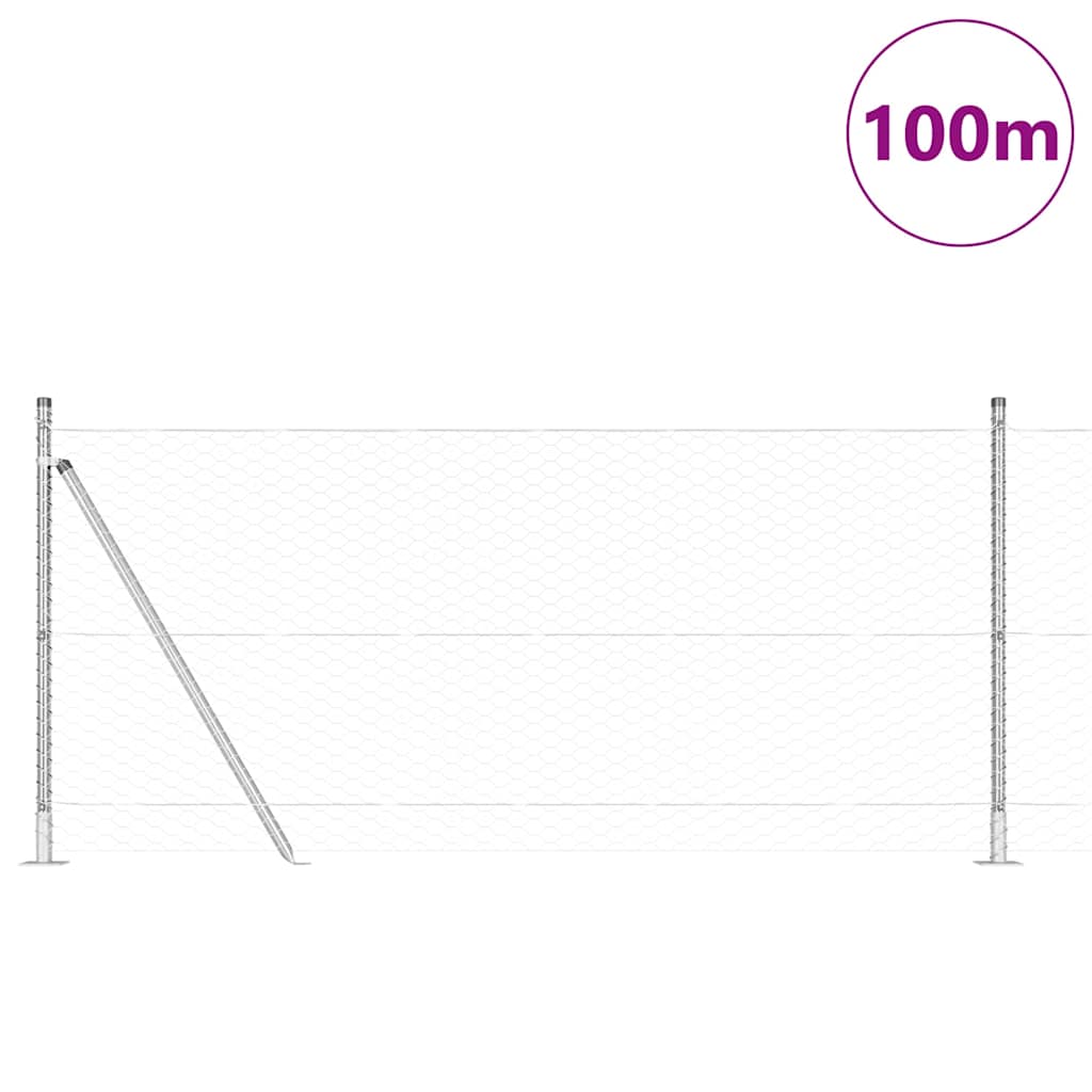 Zaunpfosten Silber 100 x 0,8 m (36 mm Maschenweite) Stahl