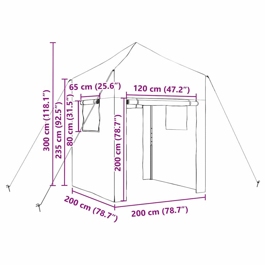 Gewächshaus mit Pop-up-Rahmen Grün 200 x 200 x 300 cm Eisen