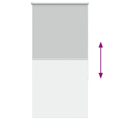 Verdunkelungsrollo Hellgrau 85x150 cm Stoffbreite 80,7 cm