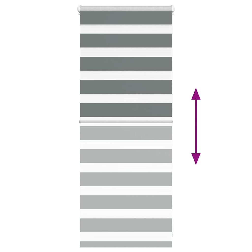 Doppelrollo Dunkelgrau 60x100 cm Stoffbreite 55,9 cm Polyester