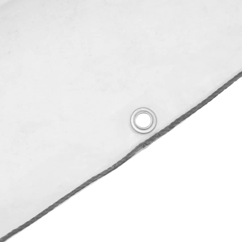 Transparente Plane mit Ösen 6x10 m Polyethylen
