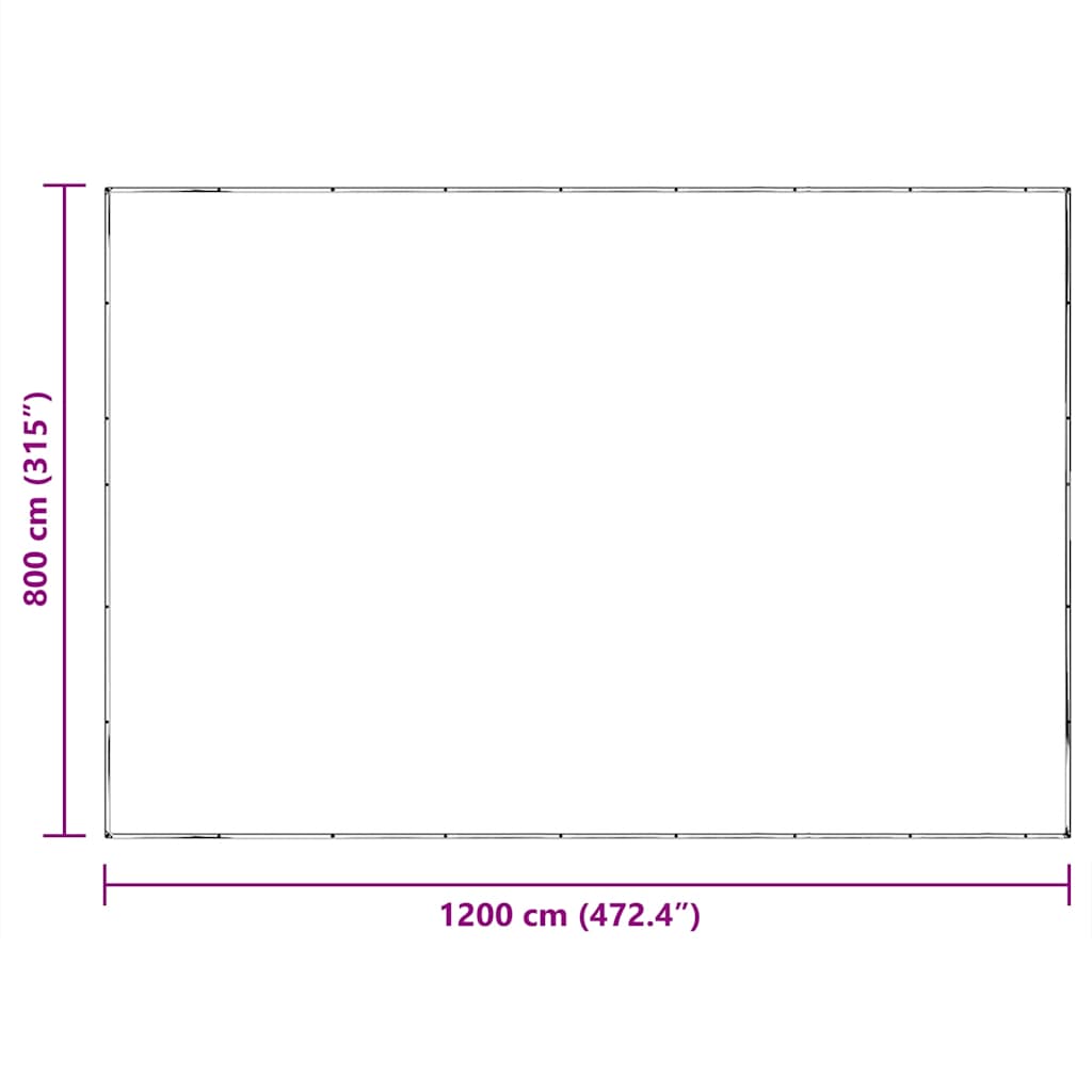 Transparente Plane mit Ösen 8x12 m Polyethylen