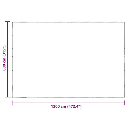 Transparente Plane mit Ösen 8x12 m Polyethylen