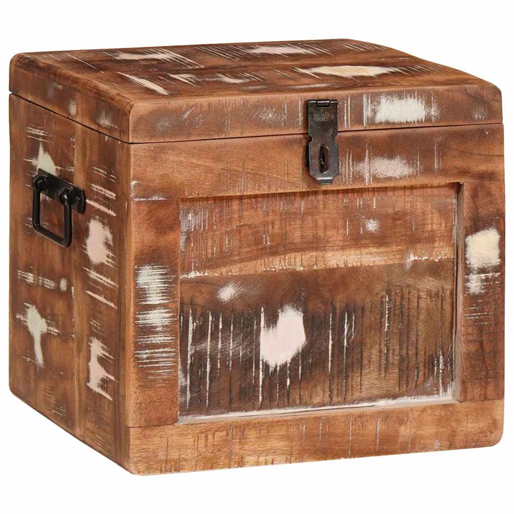 Aufbewahrungsbox mit Speicher mit Tür Braun Massivholz Mango