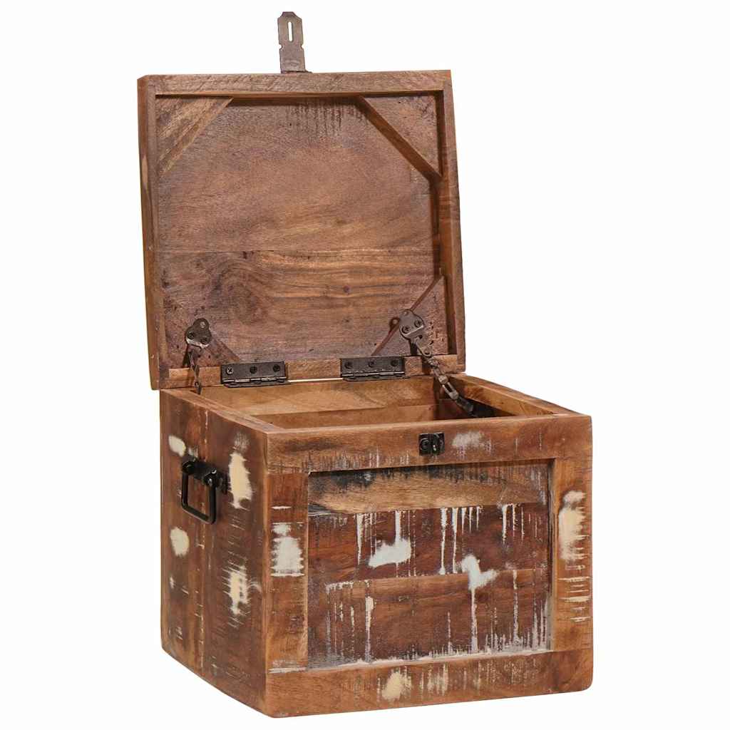 Aufbewahrungsbox mit Speicher mit Tür Braun Massivholz Mango