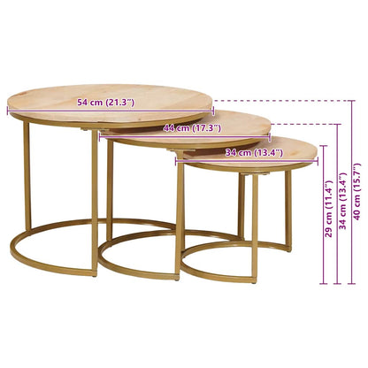 Nesting-Couchtische 3 pcs Braun Massivholz Mango und Stahl