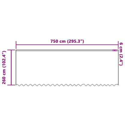 Spitzenvorhang mit Vorhängen Floral Weiß 260x750cm Polyester
