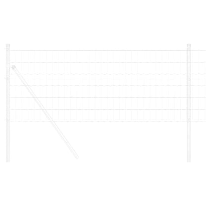 Eurozaun 0,4 x 10 m PVC-beschichtetes Eisen