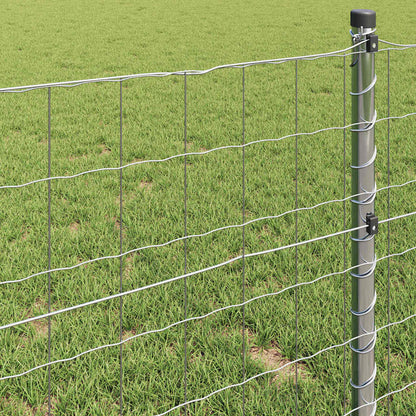 Eurozaun 0,6 x 10 m PVC-beschichtetes Eisen