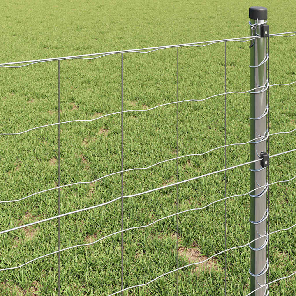 Eurozaun 1 x 10 m PVC-beschichtetes Eisen