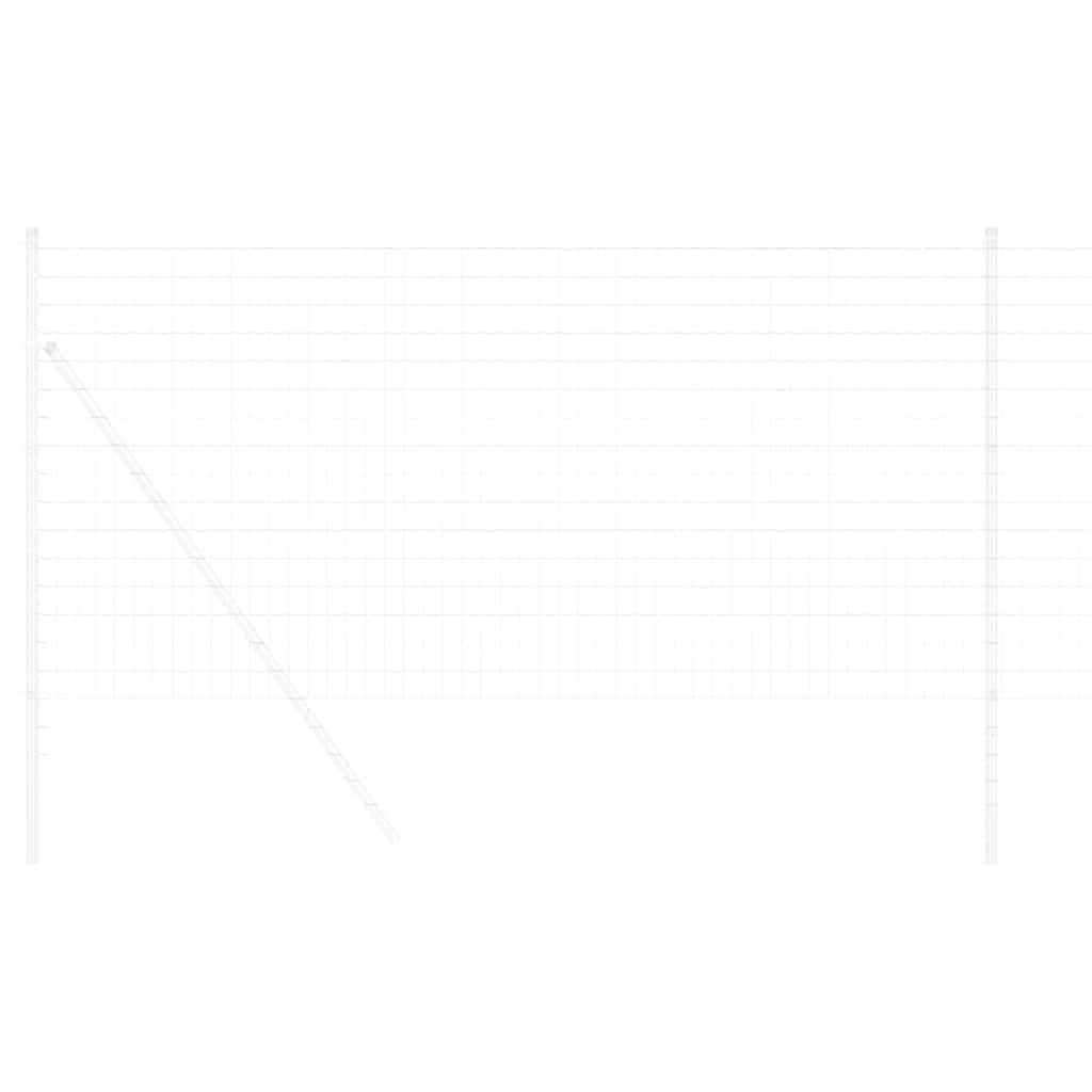 Eurozaun 1 x 25 m PVC-beschichtetes Eisen