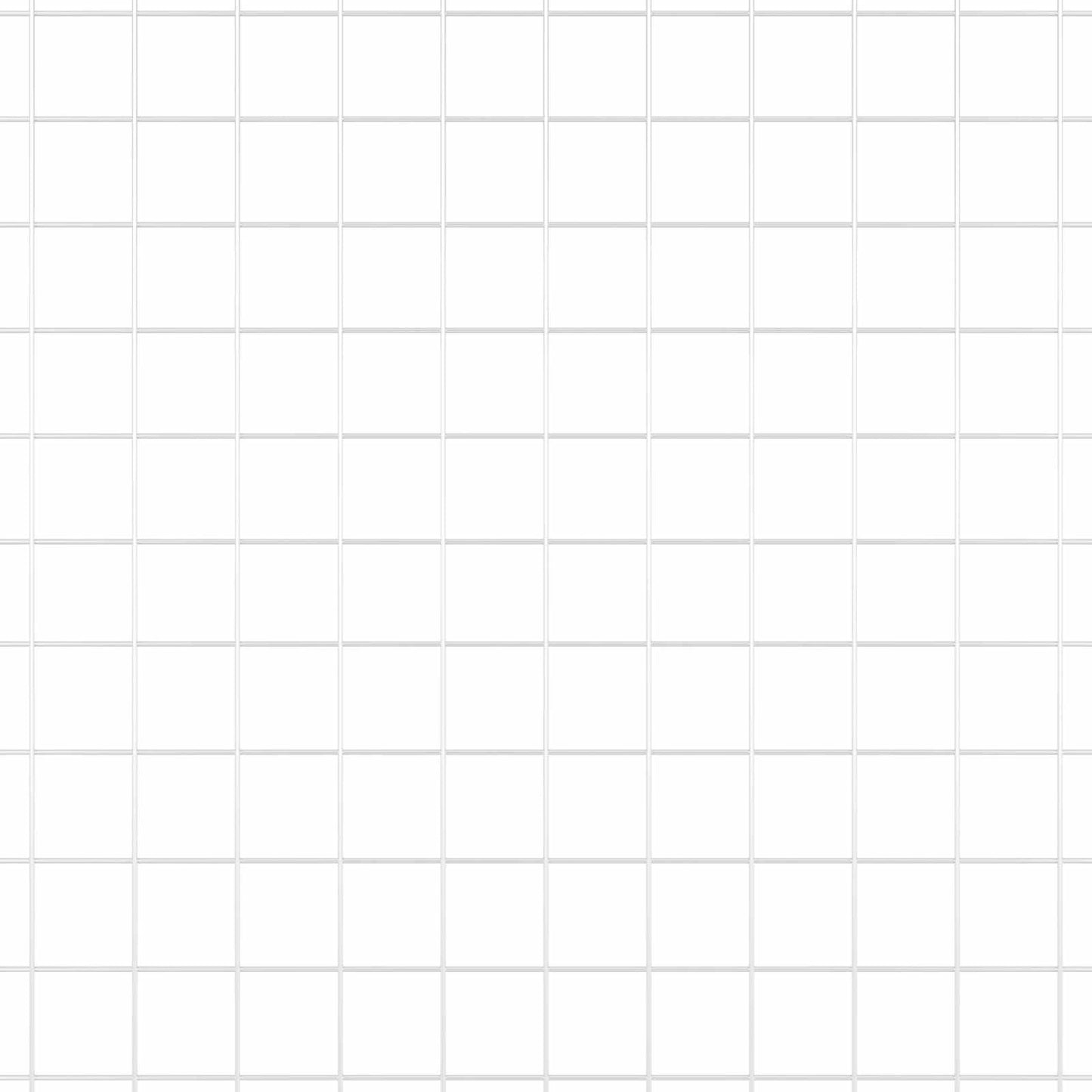 Geschweißter Drahtzaun Silber 0,8 x 10 m