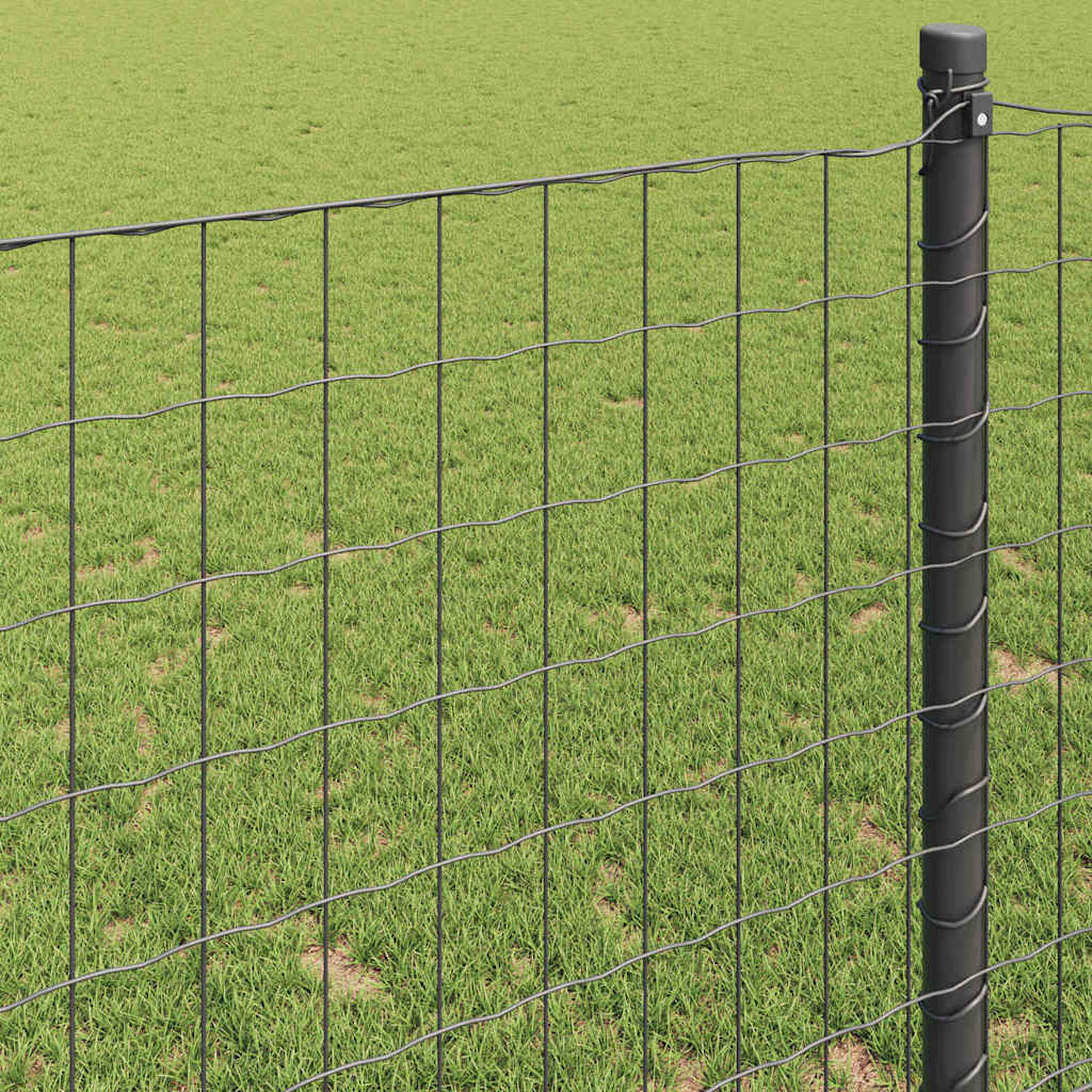 Eurozaun Grau 0,6 x 10 m PVC-beschichtetes Eisen