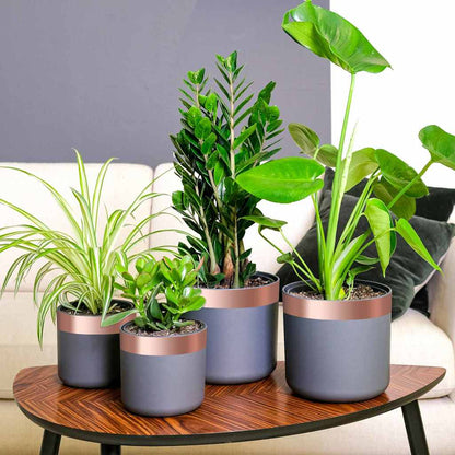 Kupferband 6 pcs Kupfer 2000 x 5 cm Kupfer