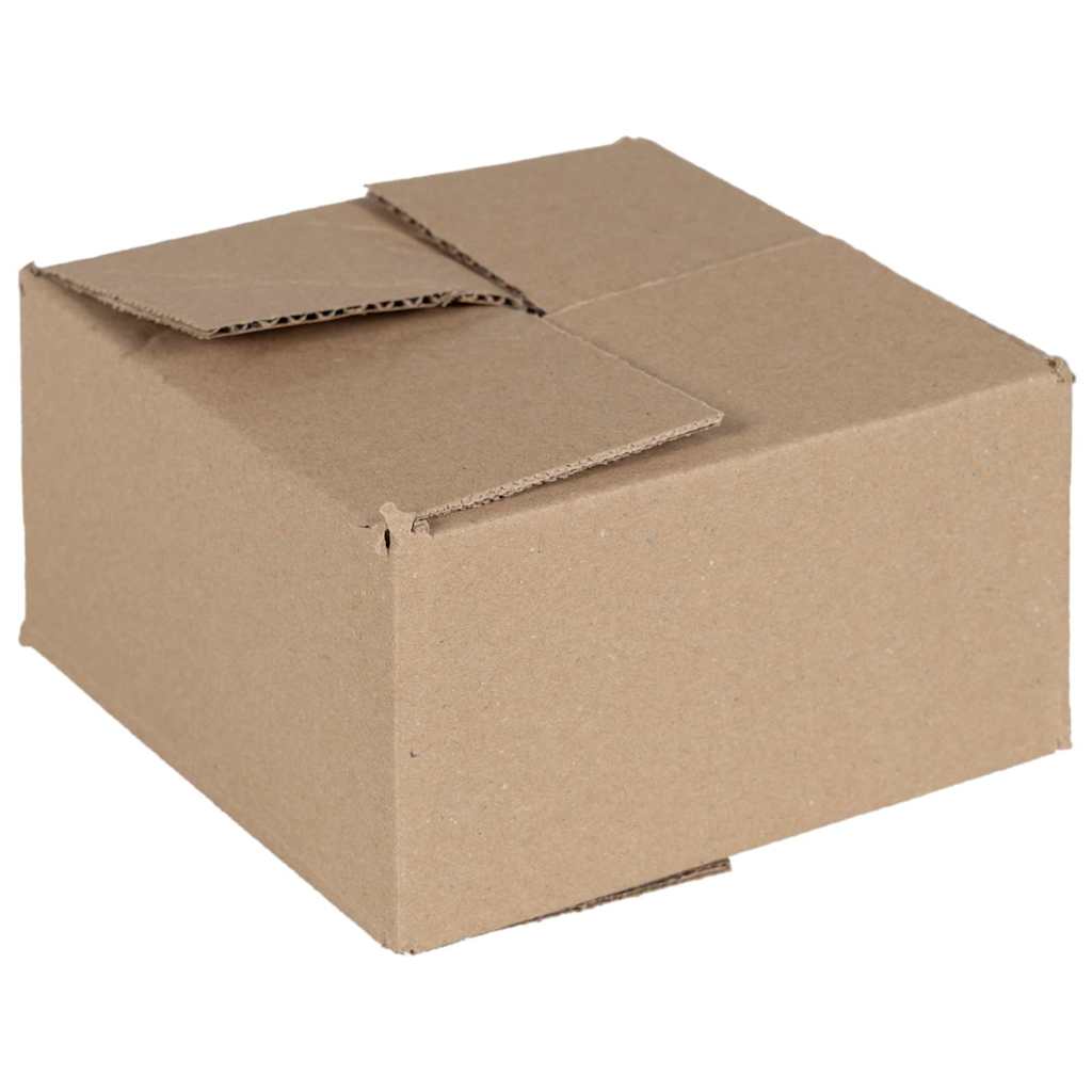Faltbox mit Speicher 50 pcs Natur 15 x 15 x 8 cm Karton