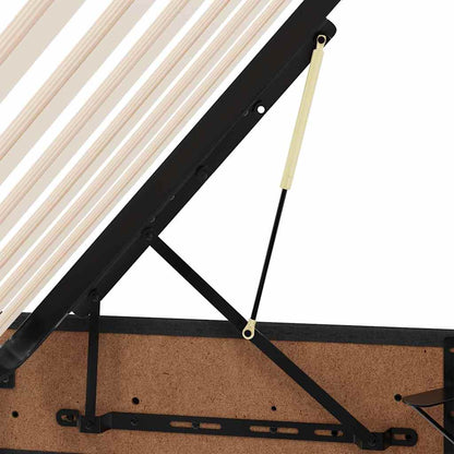 Aufbewahrungsbett mit Matratze Schwarz 200 x 200 cm Polyester