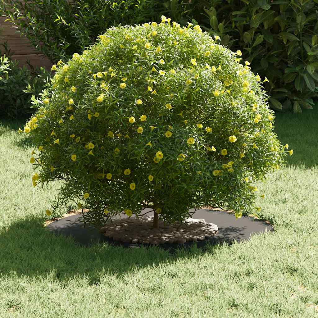 geeignet für flachen Baumring Schwarz Ø30 / 60 cm Stahl