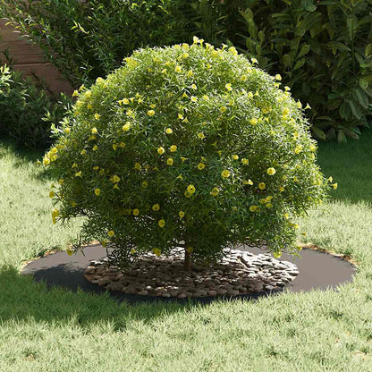 geeignet für flache Baumringe 5 pcs Schwarz Ø50 / 80 cm Stahl