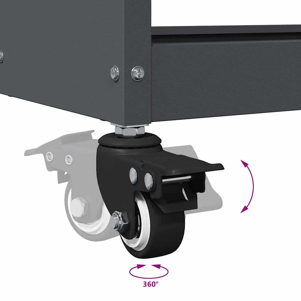 Werkzeugwagen Anthrazit 65 x 35 x 111 cm Kaltgewalzter Stahl