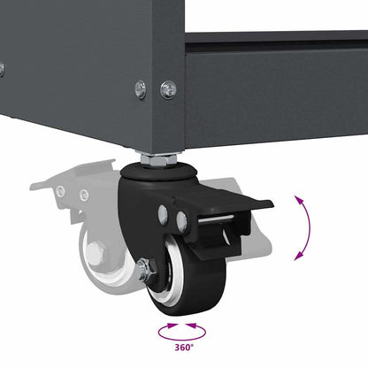 Werkzeugwagen Anthrazit 65 x 35 x 111 cm Kaltgewalzter Stahl