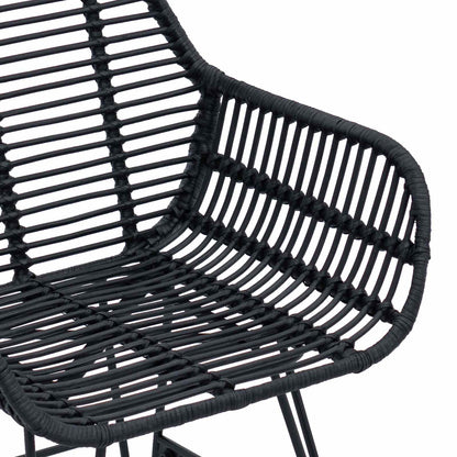 Esszimmerstuhl 2 pcs Schwarz 55 x 50 x 74 cm Rattan und Eisen