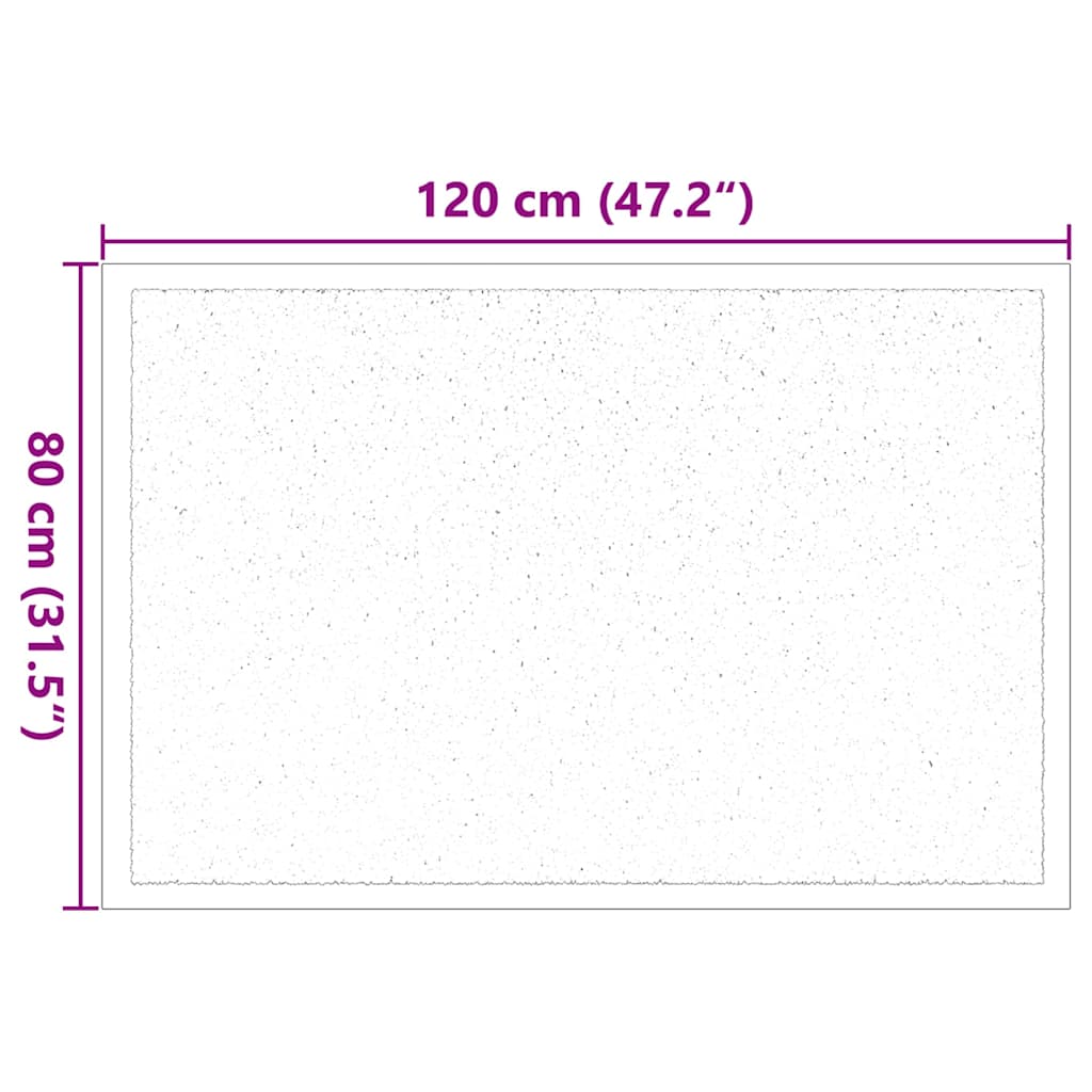 Fußmatte Schwarz 120 x 80 x 1,2 cm Teddystoff