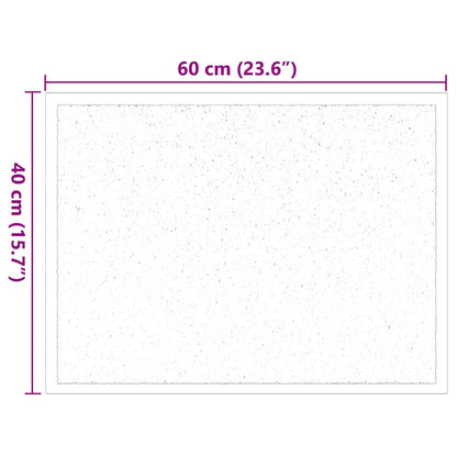 Fußmatte Hellgrau 60 x 40 x 1,2 cm Teddystoff