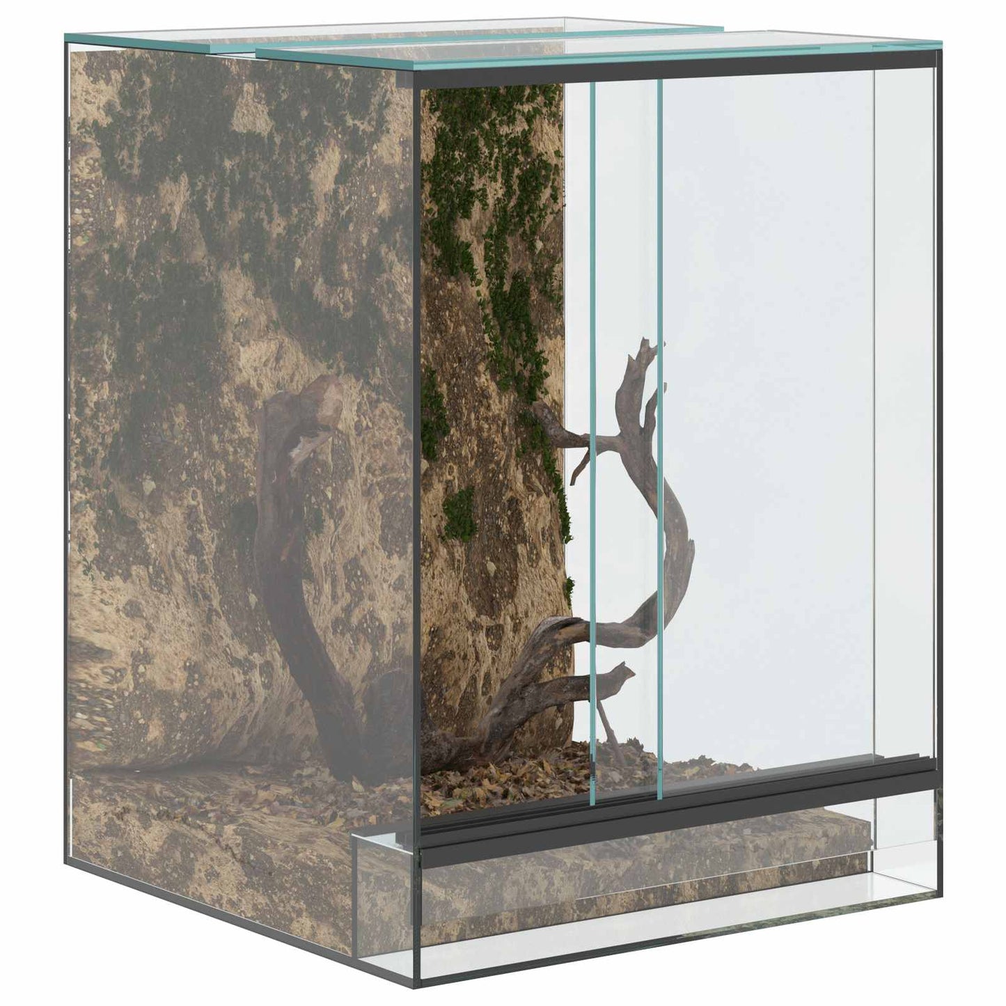 Terrarium mit Speicher Transparent 30 x 30 x 40 cm Glas