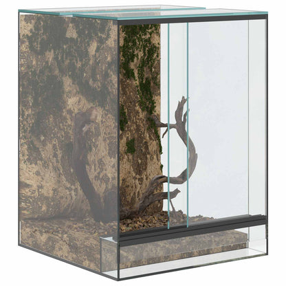 Terrarium mit Speicher Transparent 30 x 30 x 40 cm Glas