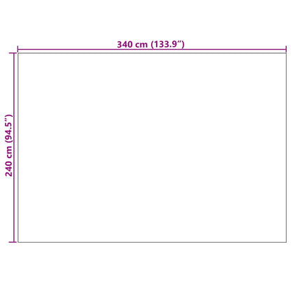 Bereichsteppiche Rechtwinklig AGIRA Natur 340 x 240 cm