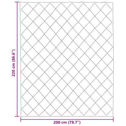 Sommerdecke Anthrazit und Taupe 220 x 200 cm Mikrofaser