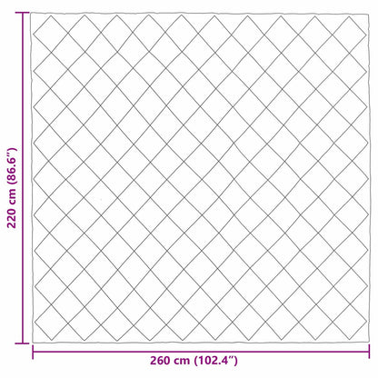 Winterbettdecke Schwarz und Anthrazit 220 x 260 cm Mikrofaser