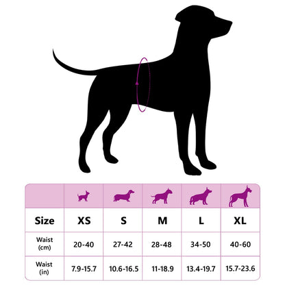 Wegwerf-Hundewindel für Hündinnen 30 pcs Weiß M